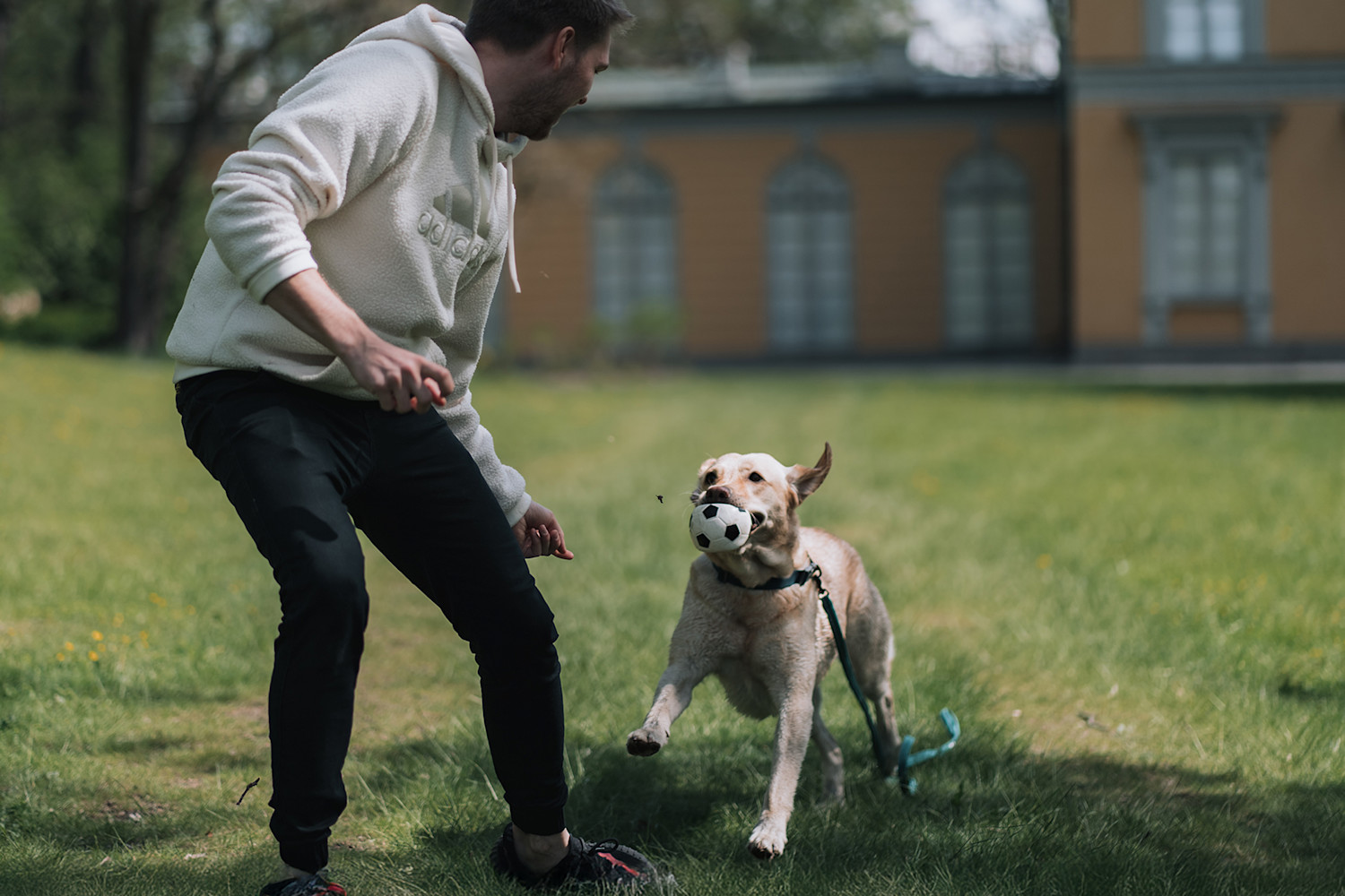 Pureplay article PURCHASE AGREEMENT DOG 3x2