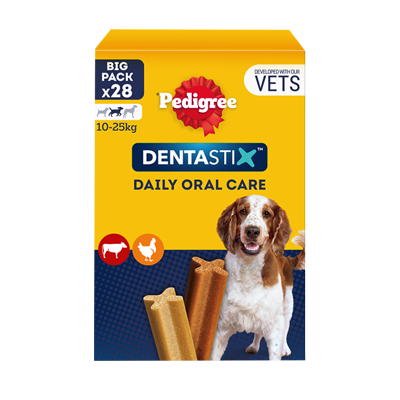 Dentaltygg