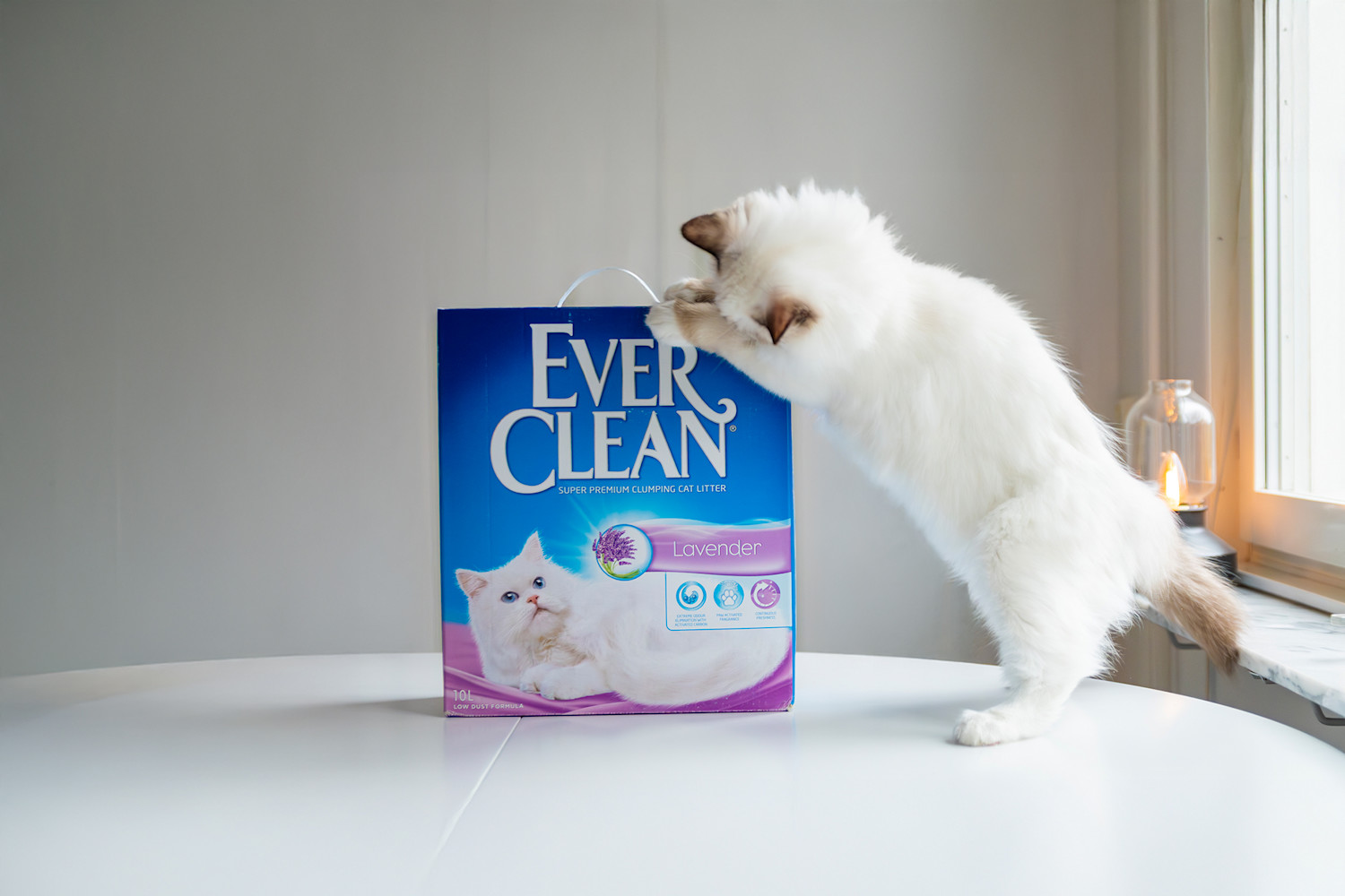 Pureplay article Best cat litter CAT 3x2