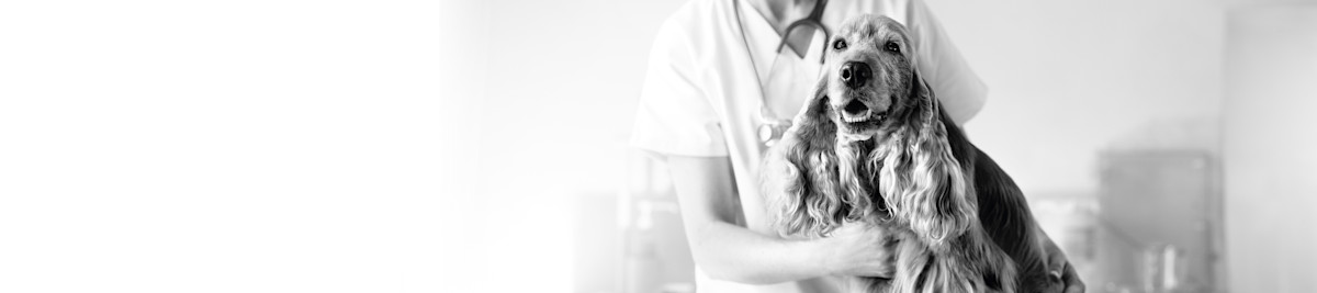 ROYAL CANIN VETERINARY DIETS