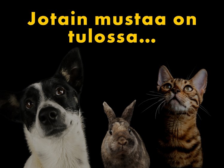 Tilaa uutiskirje