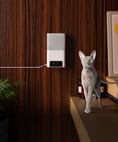 PetCube Husdjurskamera