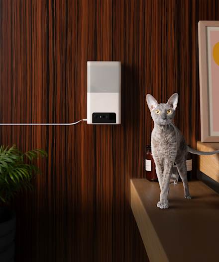 PetCube Husdjurskamera