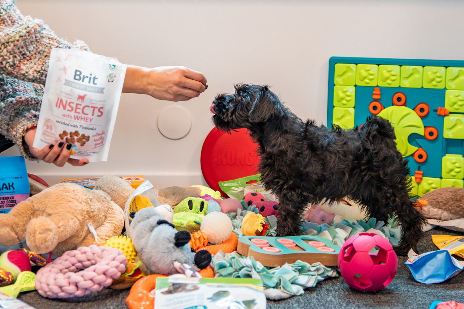 Pureplay article Product tips DOG 3x2