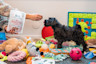 Pureplay article Product tips DOG 3x2