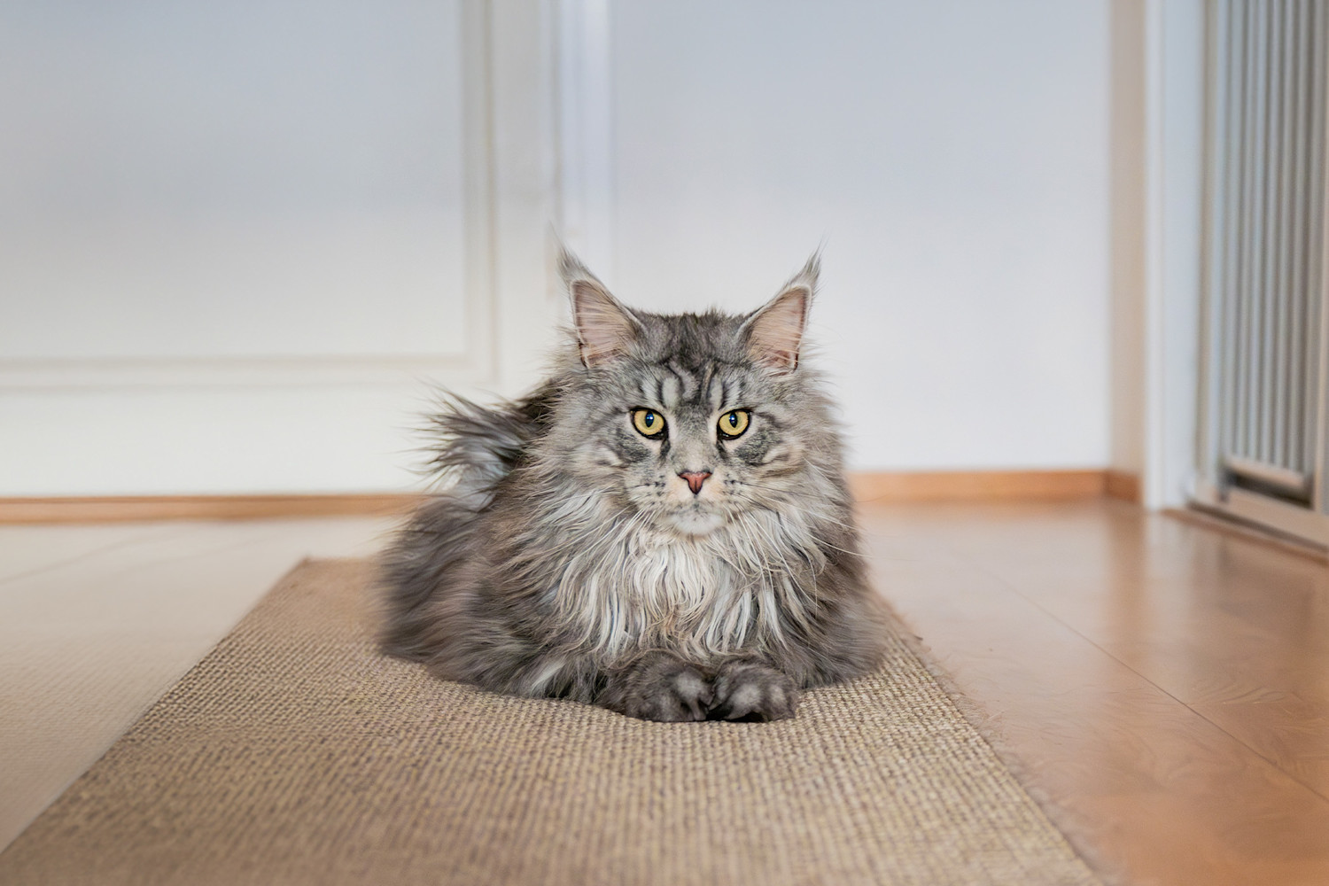 articles-page-header