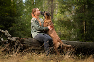 Eläinfysioterapeutti