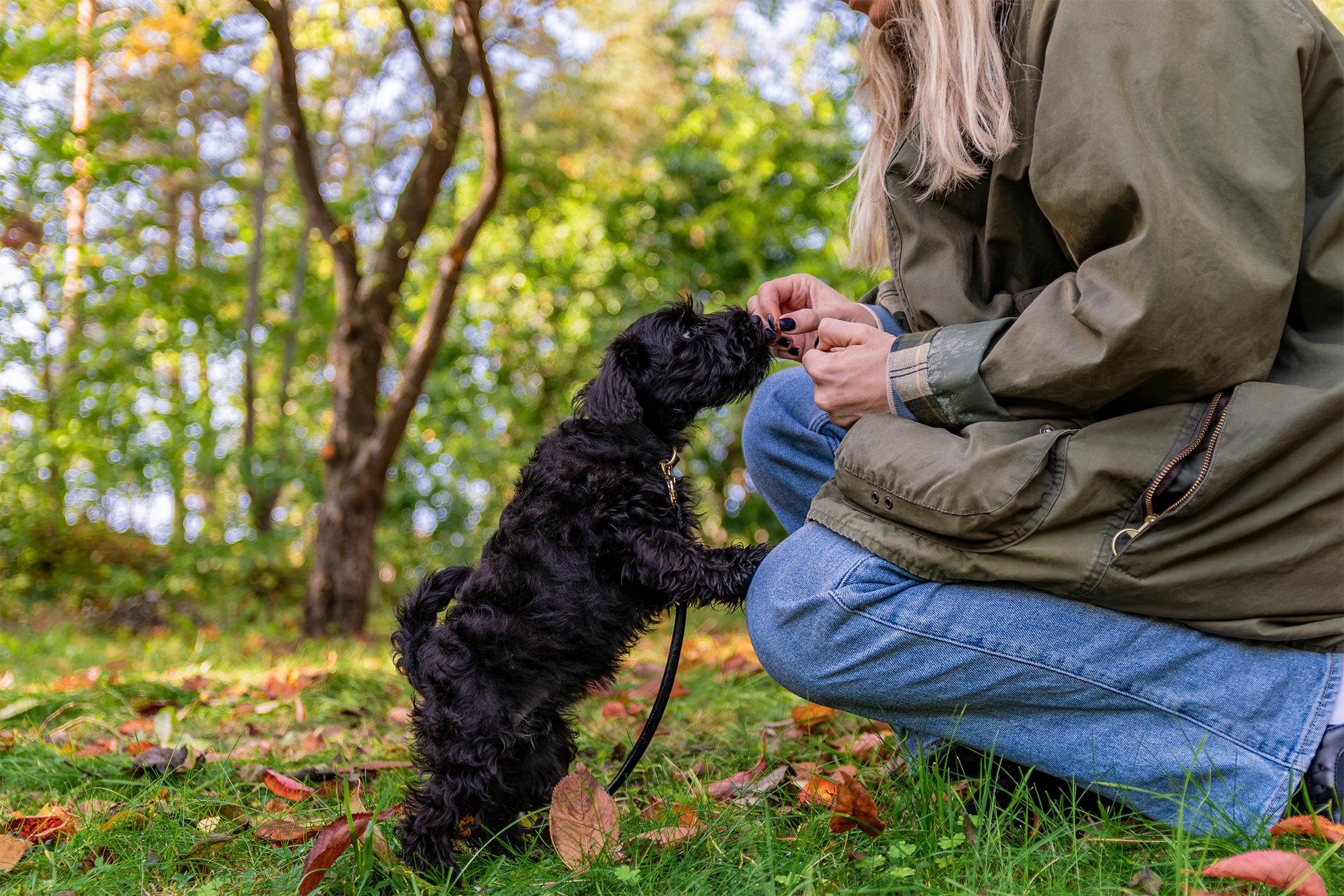 Pureplay First time with puppy DOG 3x2