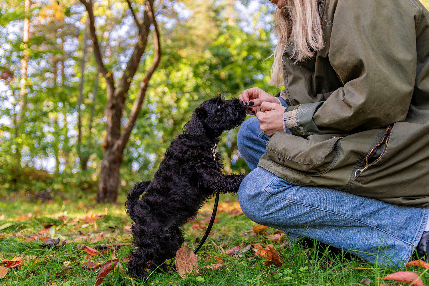 Pureplay First time with puppy DOG 3x2