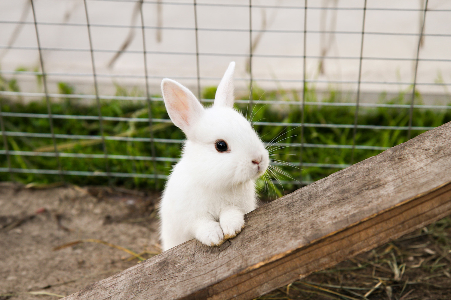 articles-page-header