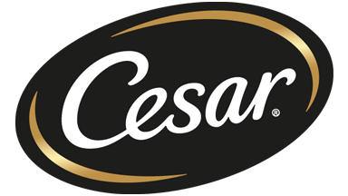 BRAND LOGO/ Cesar