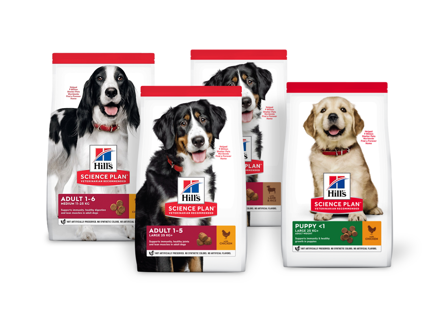 Hill's Science Plan fôr til Hund