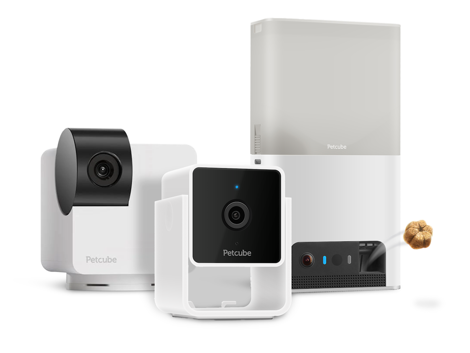 PetCube Kjæledyrkamera
