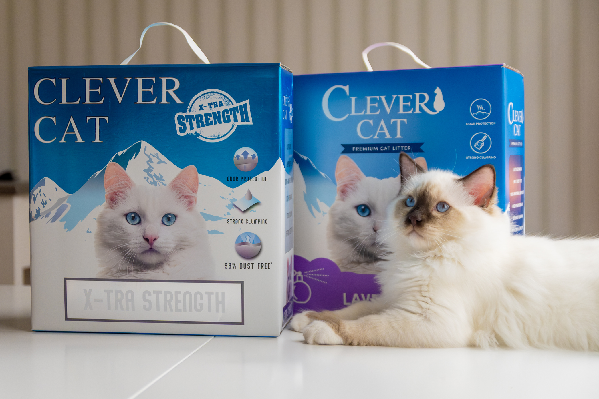 Pureplay article Where do you throw cat litter CAT 3x2