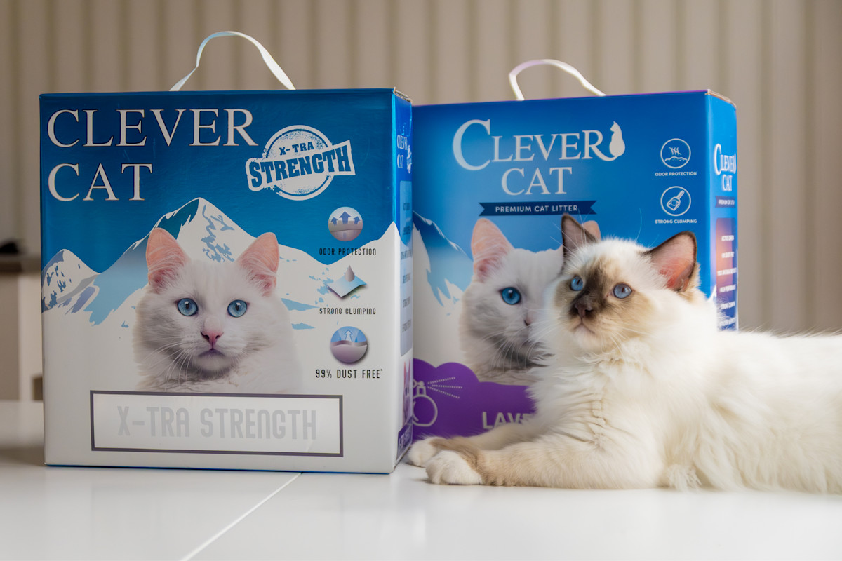 Pureplay article Where do you throw cat litter CAT 3x2