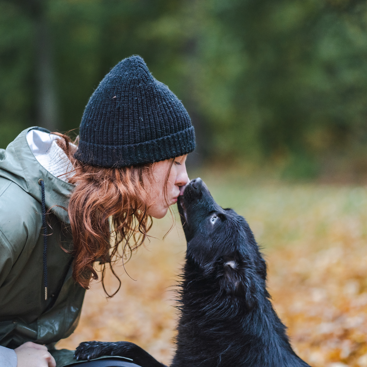 Autumn-dog-2094x1396