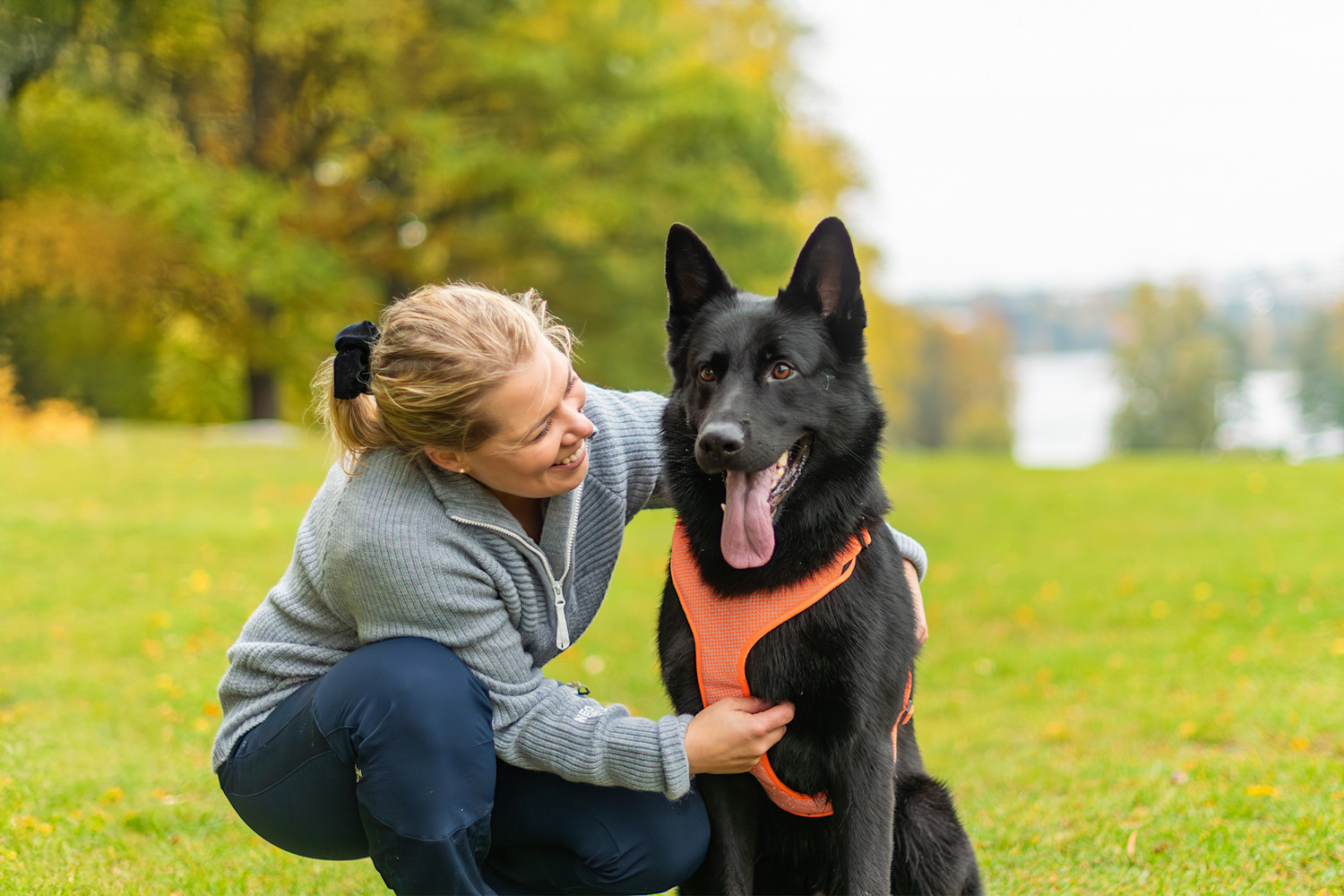 Pureplay article BUYING A DOG FROM A PRIVATE INDIVIDUAL DOG 3x2