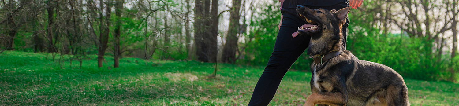 articles-page-header