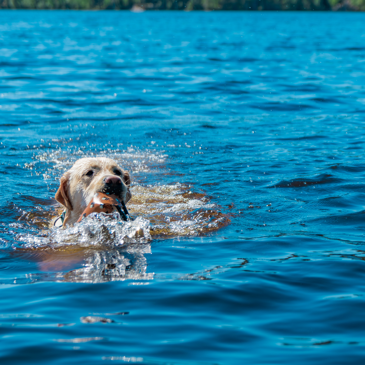 DSC 5304-Enhanced-NR