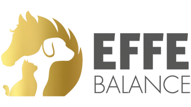 BRAND LOGO/ Effe