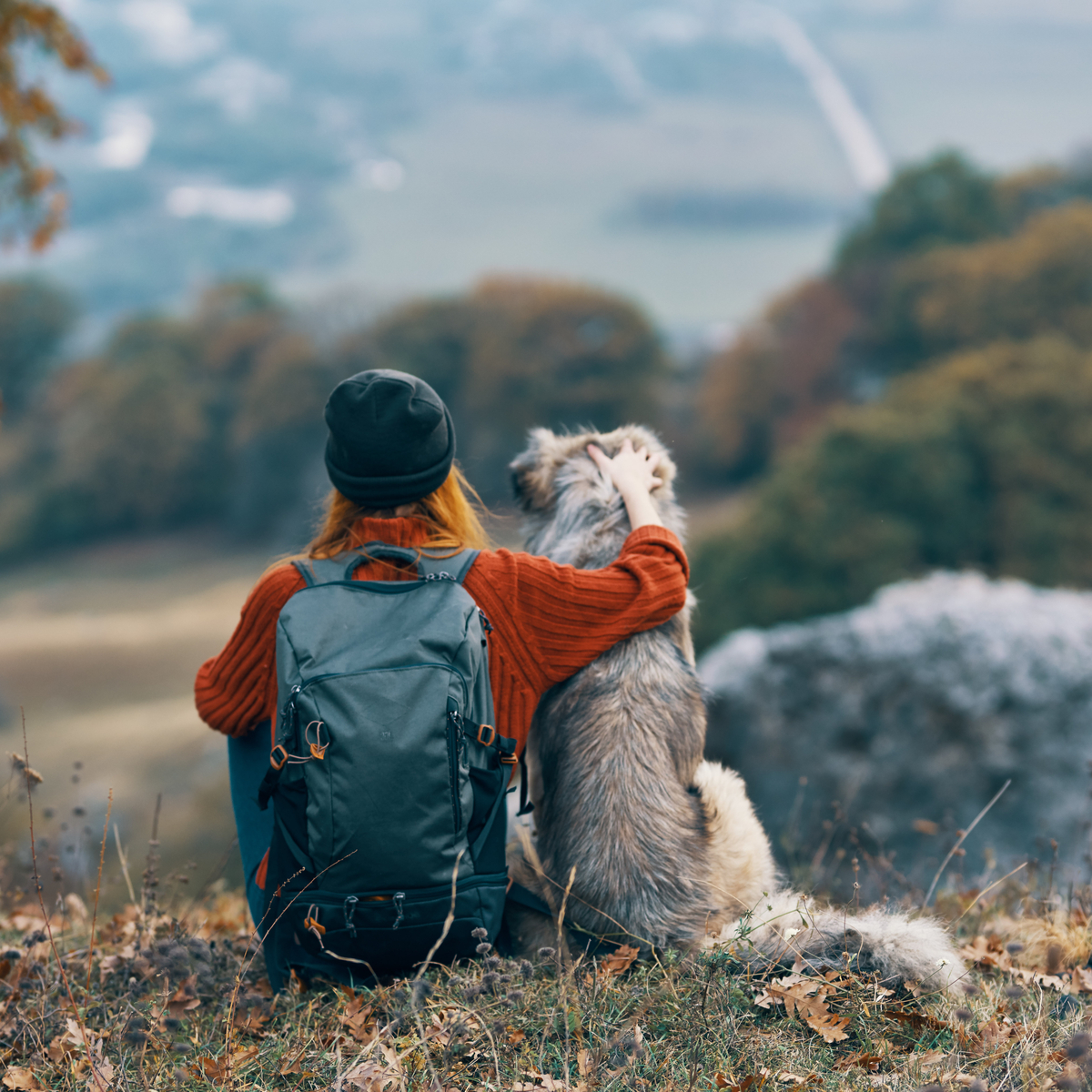 AdobeStock 432615392 autumn dog