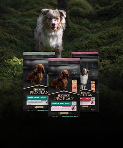 Purina Pro Plan -koiranruokatarjoukset