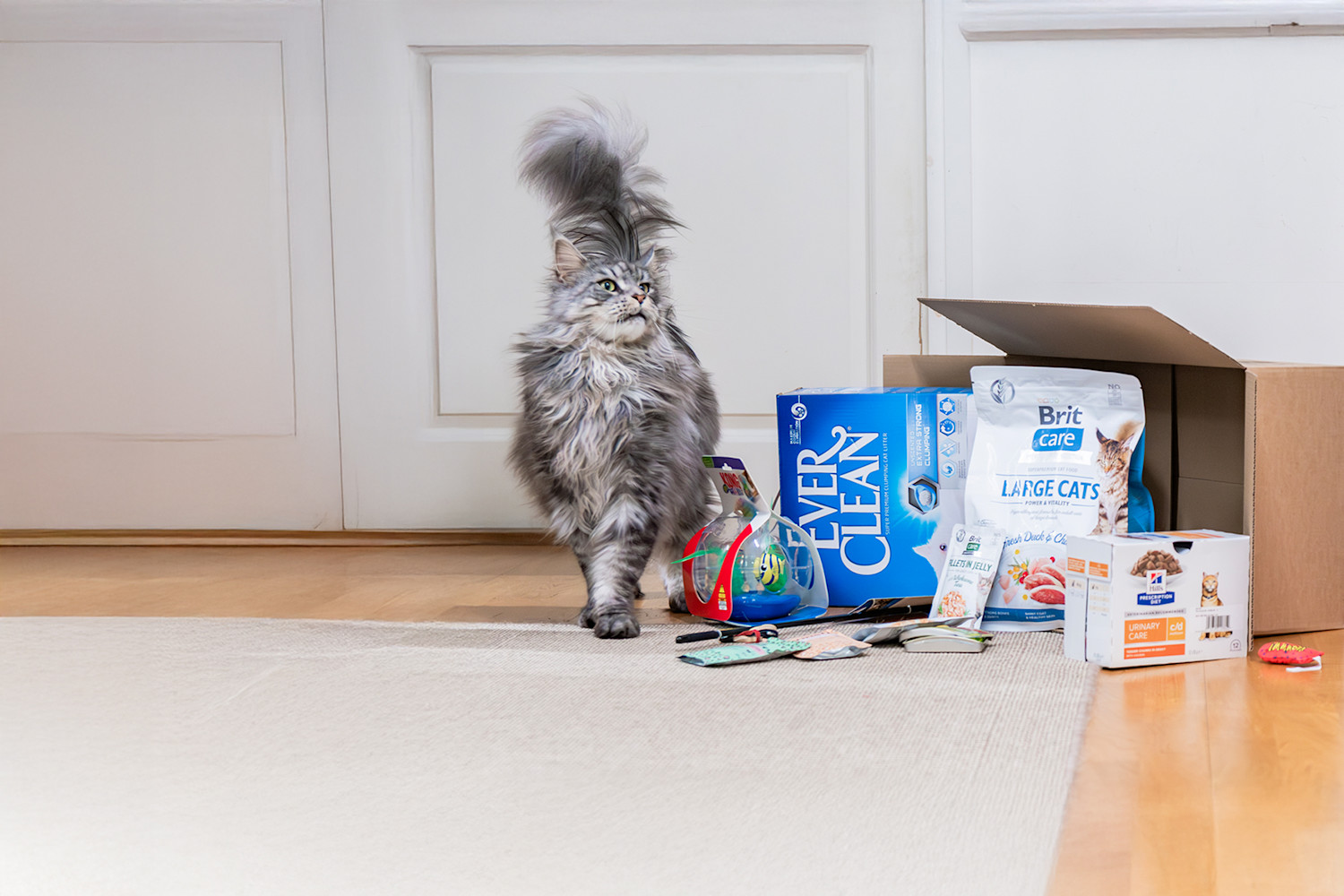 Pureplay article Product tips CAT 3x2