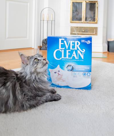 Mängdrabatt på Ever Clean kattsand