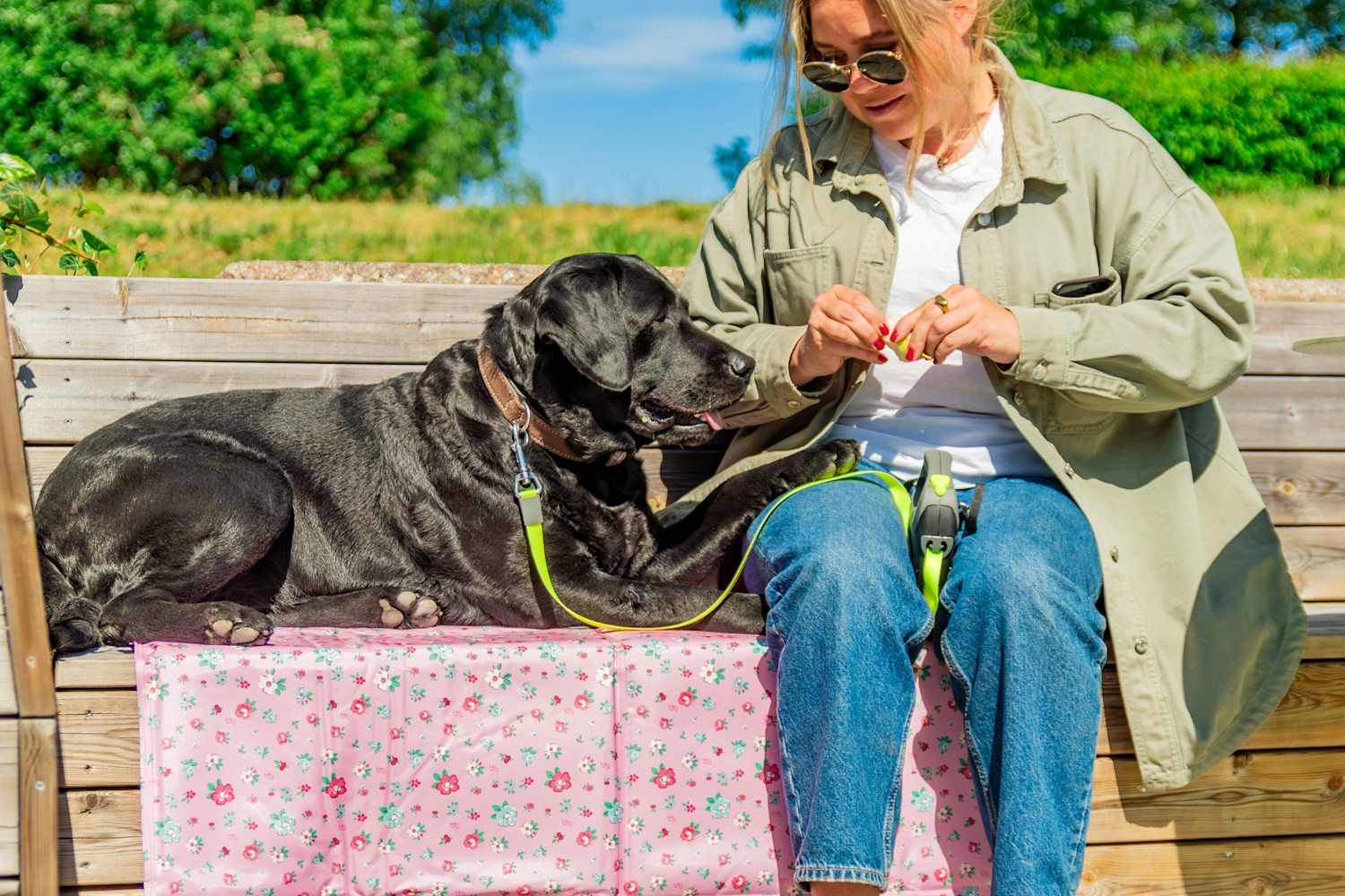 Pureplay article Buy Dog Guide DOG 3x2