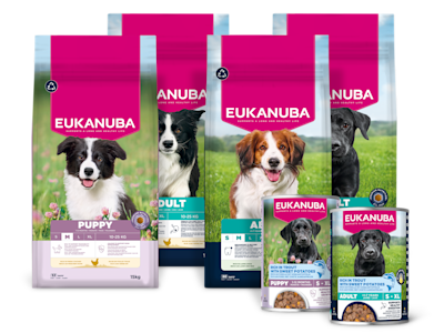 Eukanuba-koiranruoat