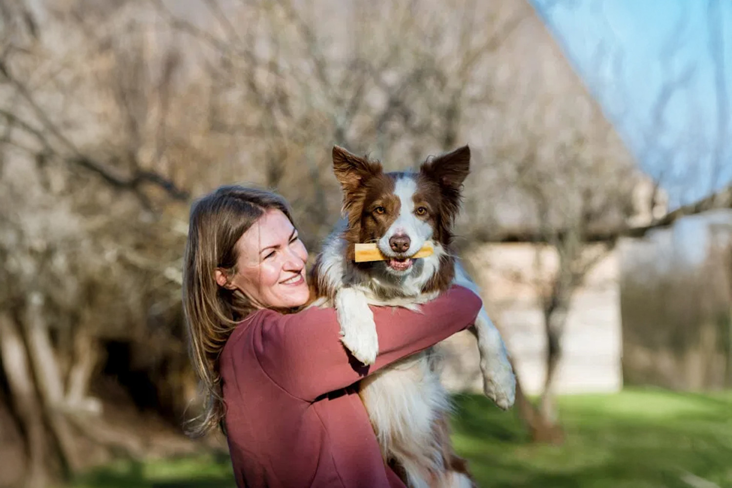 Pureplay article Dog Swallows bone DOG 3x2