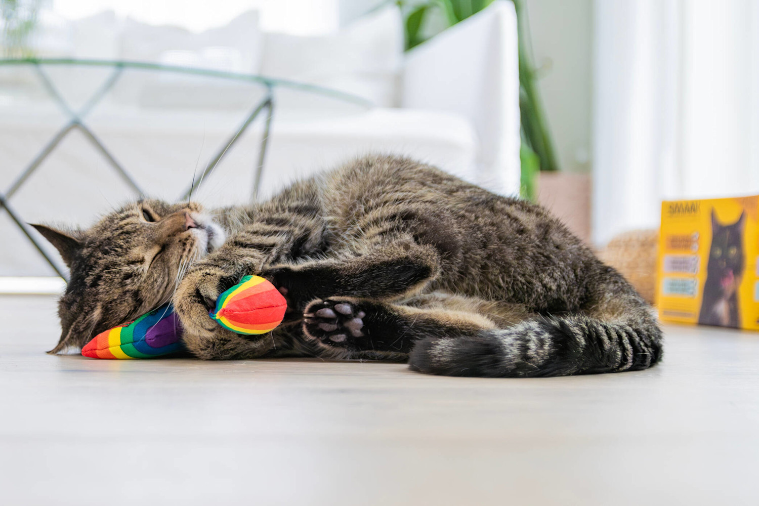 Kissa-lelu 2094x1396