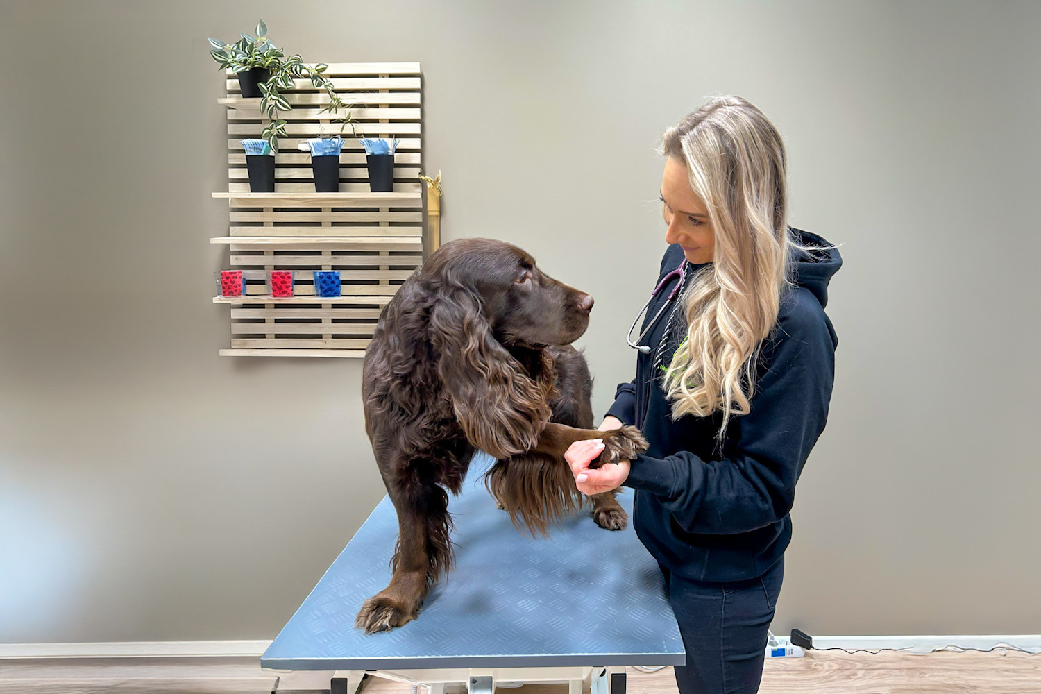 Pureplay article Health DOG 3x2