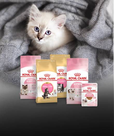 Royal Canin Kitten-penturuoat