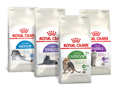 Royal Canin FHN
