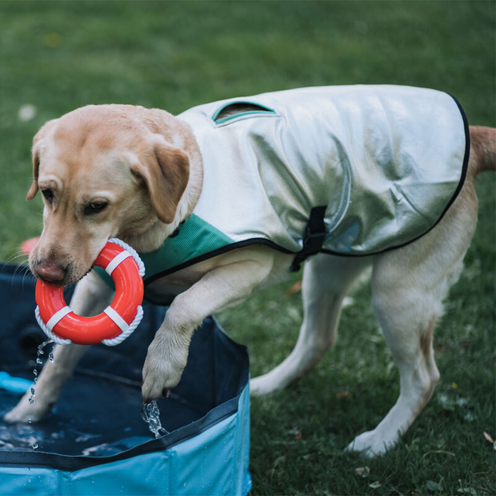 Swimming-pool900x400px
