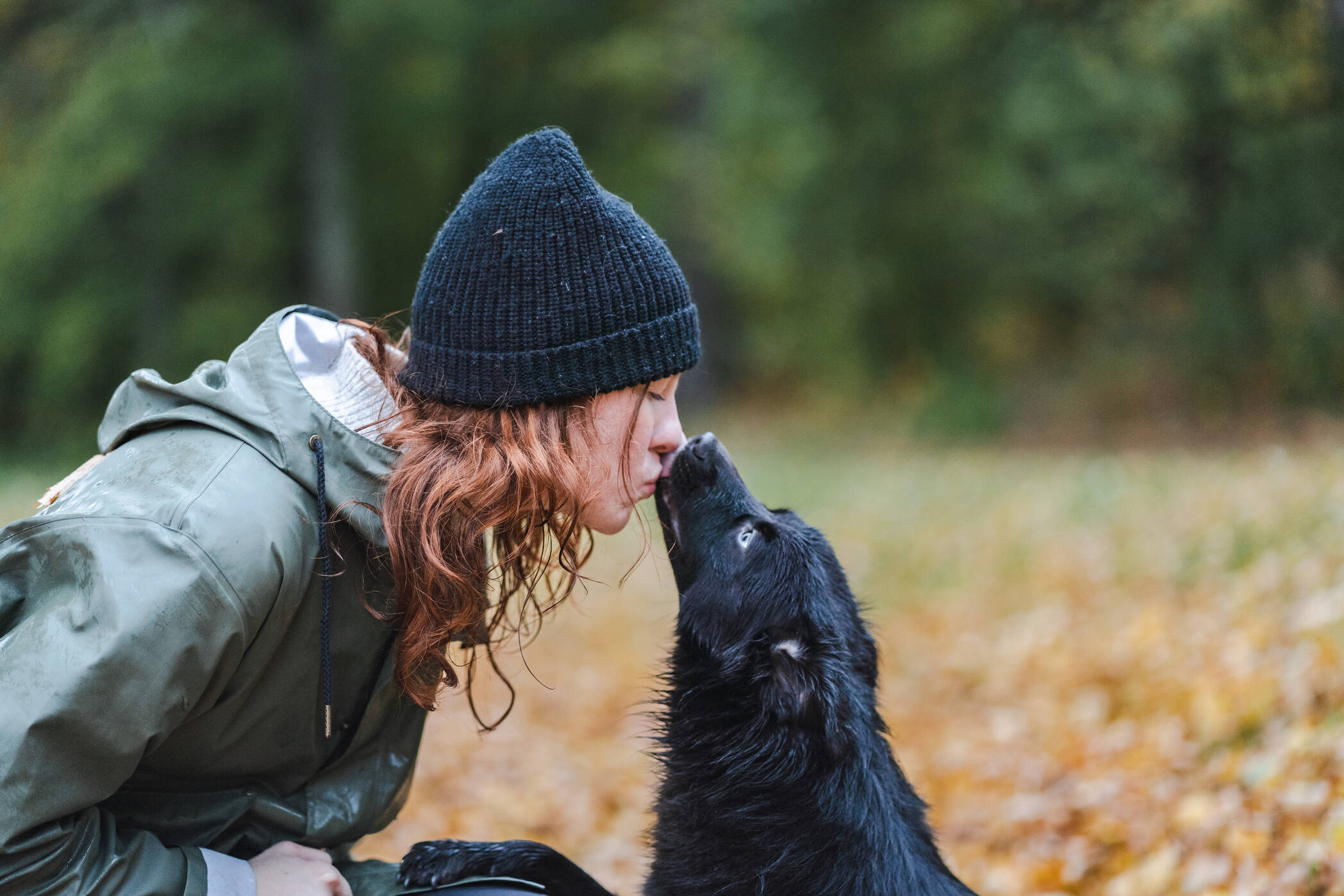 Autumn-dog-2094x1396