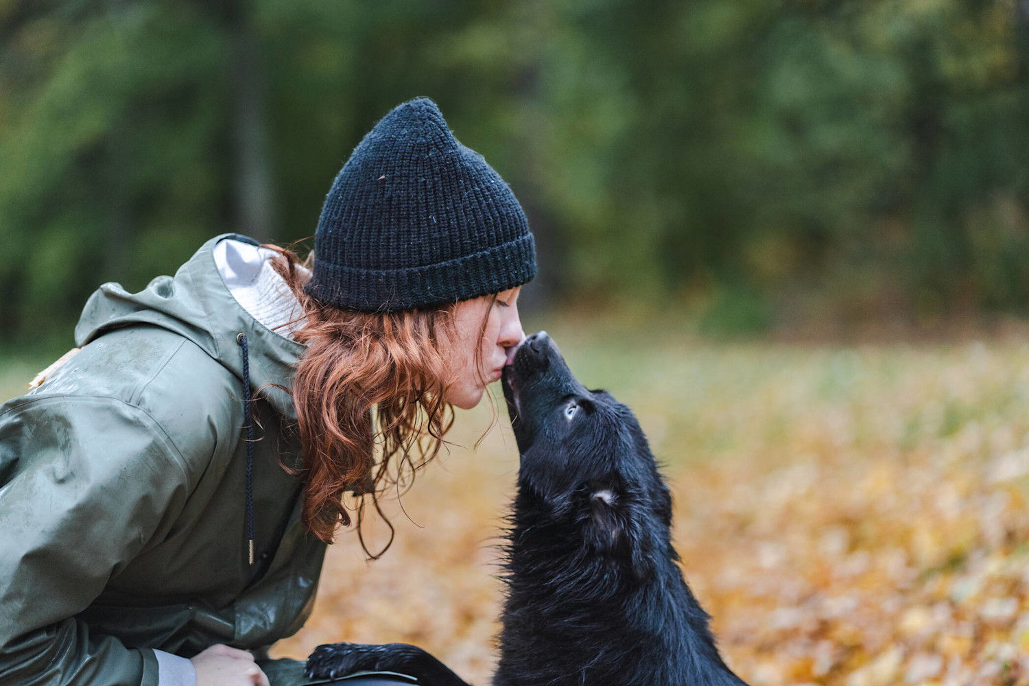 Autumn-dog-2094x1396