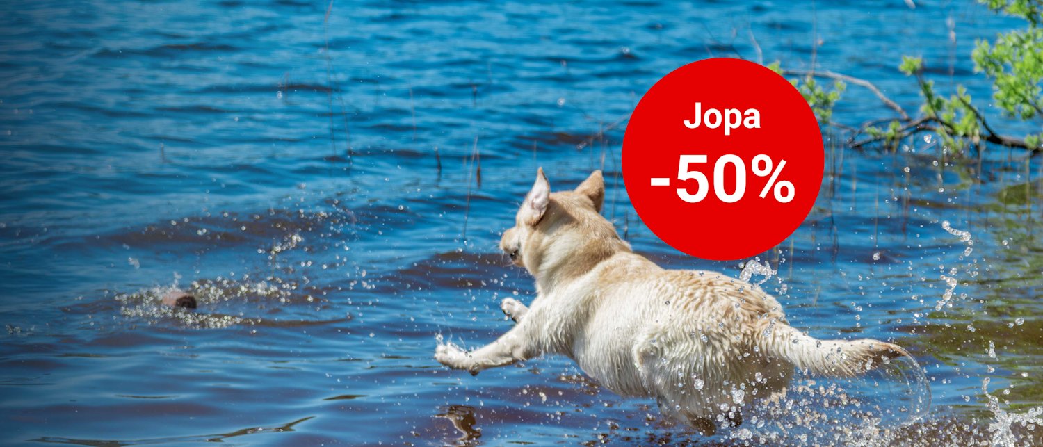 Kesä ale