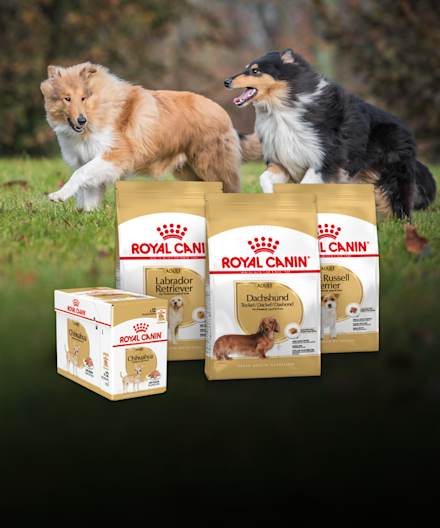 Royal Canin Breed -tarjous