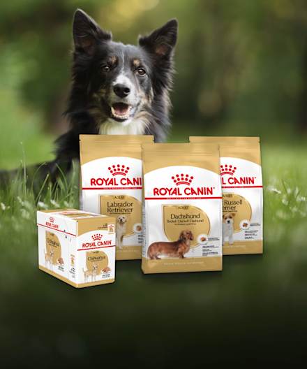 Royal Canin Breed -tarjous