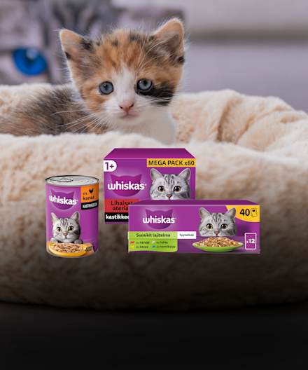 Whiskas
