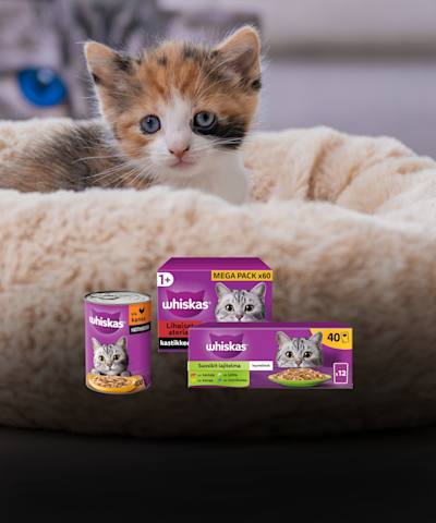 Whiskas