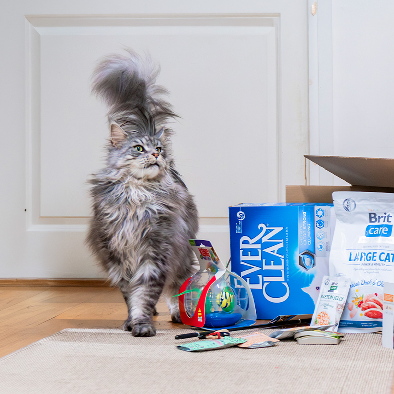 Pureplay article Product tips CAT 3x2