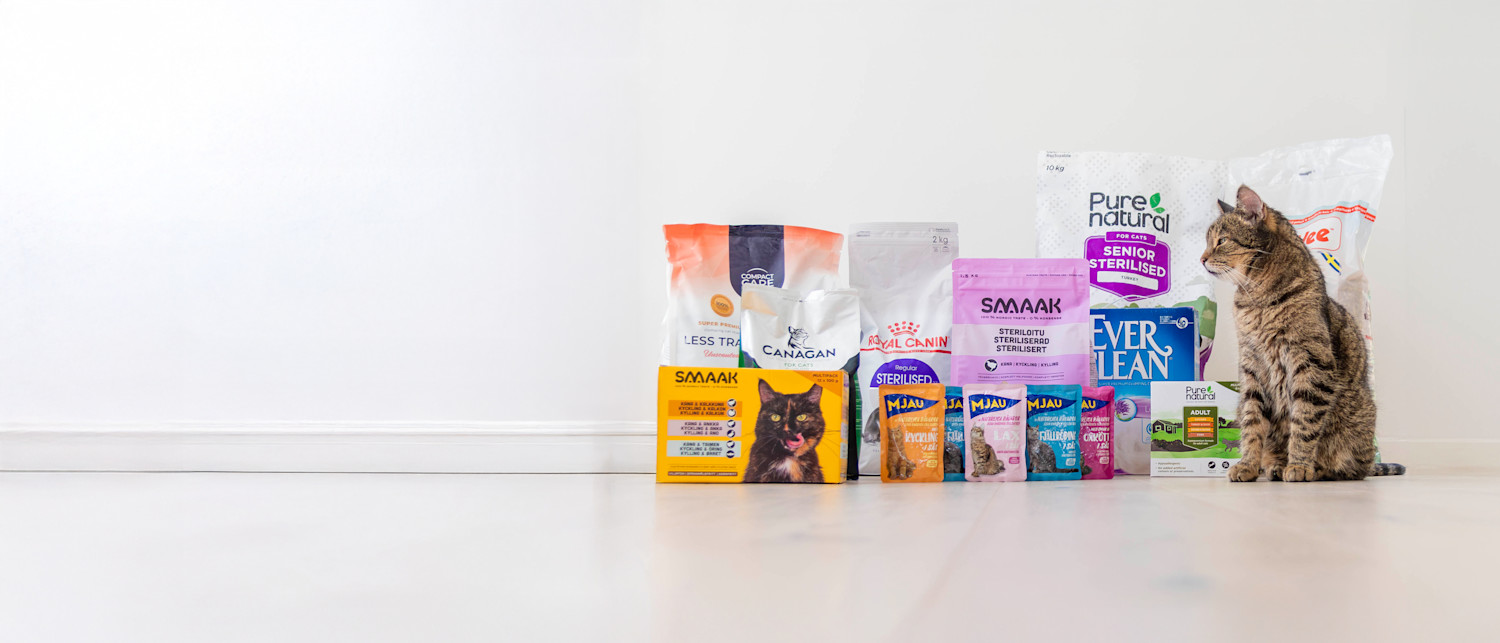 Hund og katt med VetZoo kasse