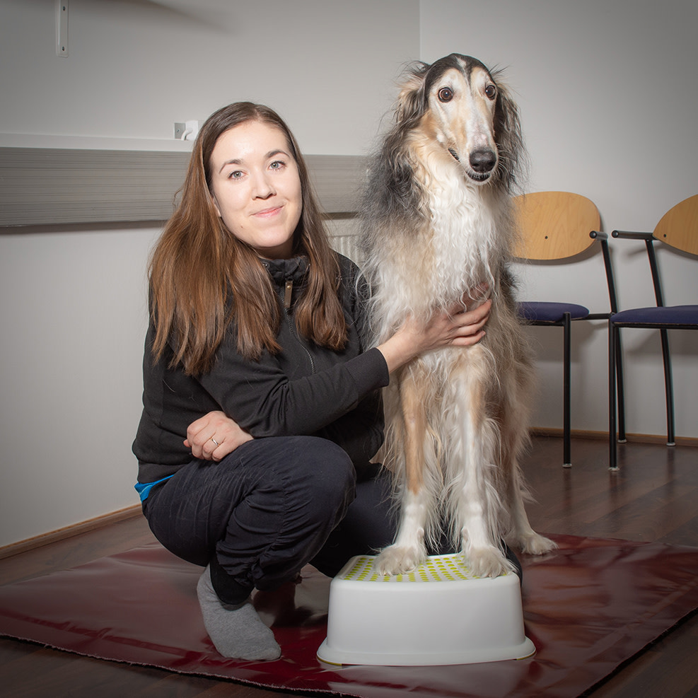 Eläinfysioterapeutti