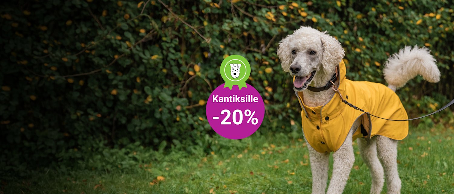 Kantistarjous: Kaikki koirien vaatteet -20%