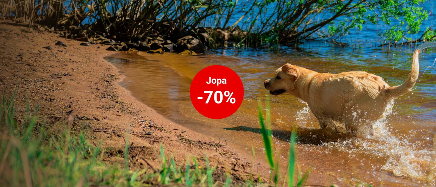 Kesä ale