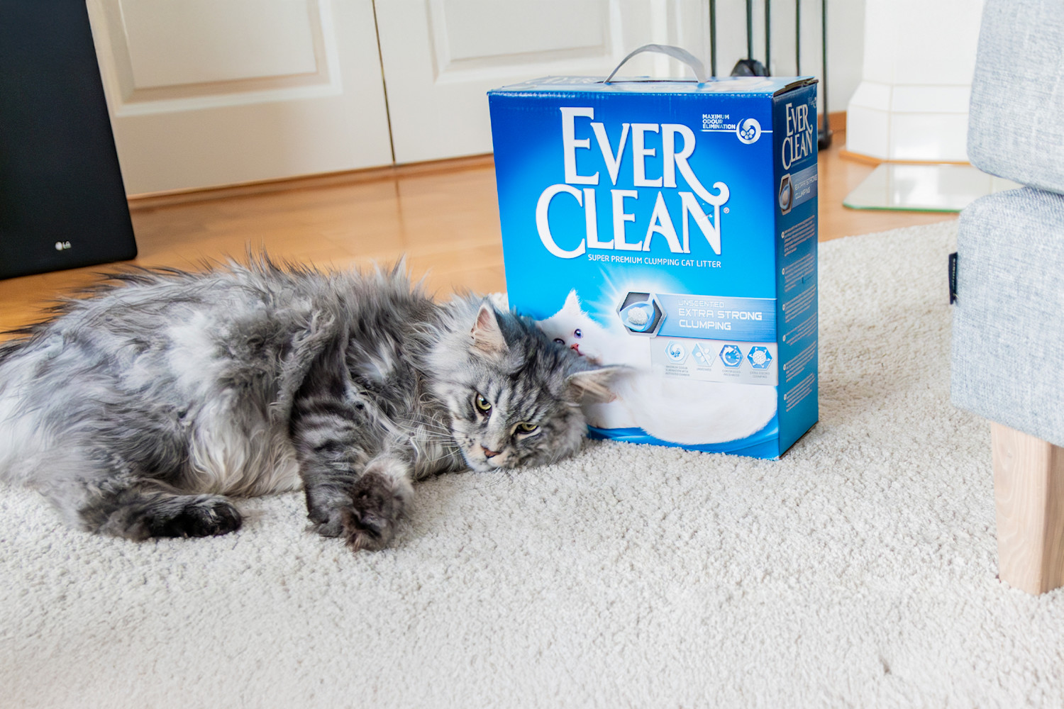 Pureplay article How much cat litter should you put in the litter box CAT 3x2