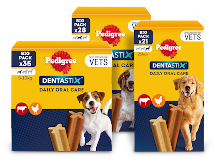 Pedigree Dentastix